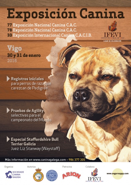 Exposición-Nac-Int-Canina-Vigo-2016 Exposición Nacional-Internacional de Vigo 2016 CAC-CACIB