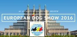 European Dog Show 2016