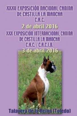 Exposición Nac Int Canina Talavera 2016