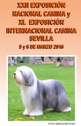 Exposición Nac Inter Canina Sevilla 2016