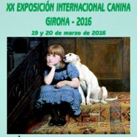 EXPOSICION INTERNACIONAL CANINA GIRONA 2016